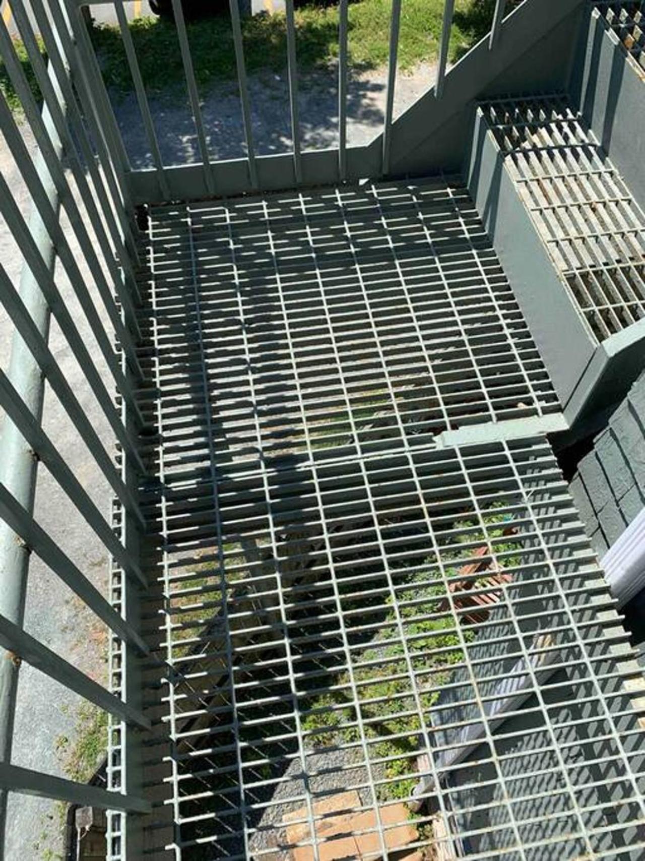 哈利法克斯The Loft At Hiltz House公寓 外观 照片